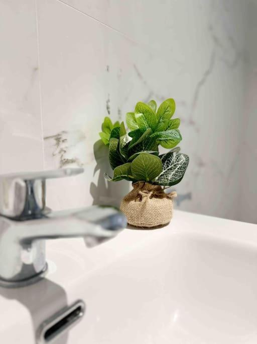 - Cabanyal Boutique Villa Валенсия Екстериор снимка